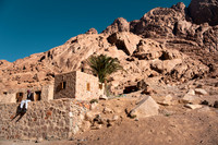 Sinai Desert